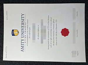 Amity University diploma copy