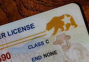 Fake Id Websites copy