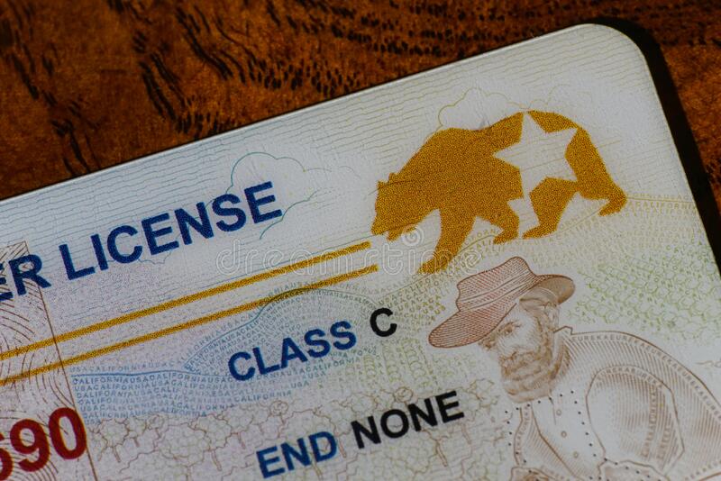 Fake Id Websites