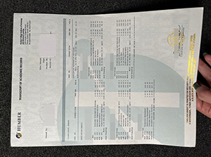 Humber College transcript copy