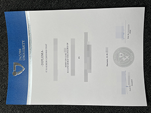 Jacobs University diploma copy