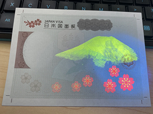 Japan VISA copy