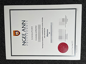 Ngee Ann Polytechnic diploma copy