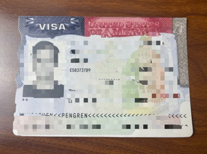 USA VISA copy