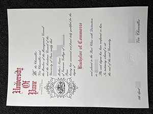 University of Pune degree copy
