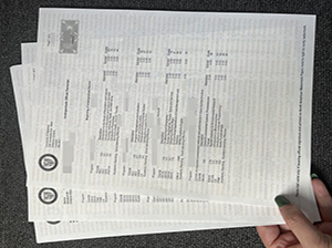 University of Waterloo transcript copy