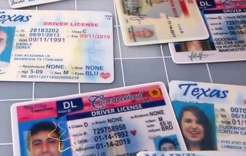 fake ID maker