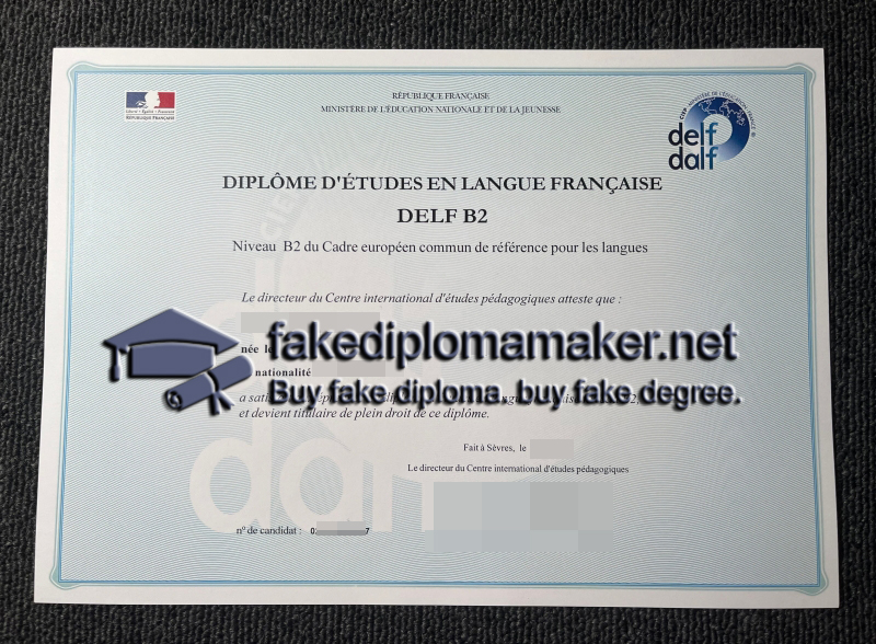 Delf B2 Certificate