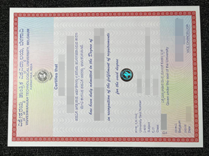 VTU degree copy