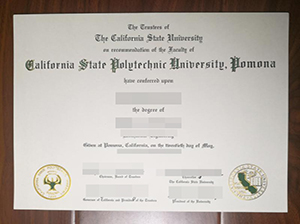 Cal Poly Pomona diploma copy