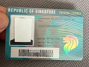 Driving Licence Singapore copy