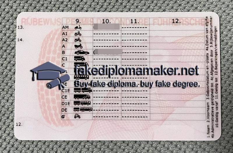 Belgium ID back