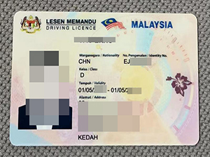 Malaysia ID copy