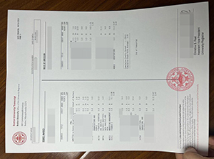 Boston University academic transcript replica