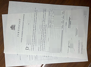 HAVO diploma replica