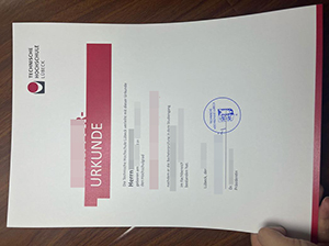 Technische Hochschule Lübeck Urkunde-1