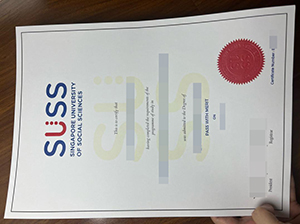 SUSS degree copy
