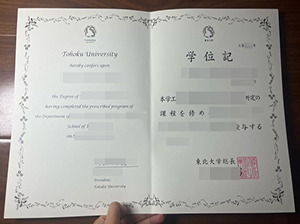 Tohoku University diploma copy